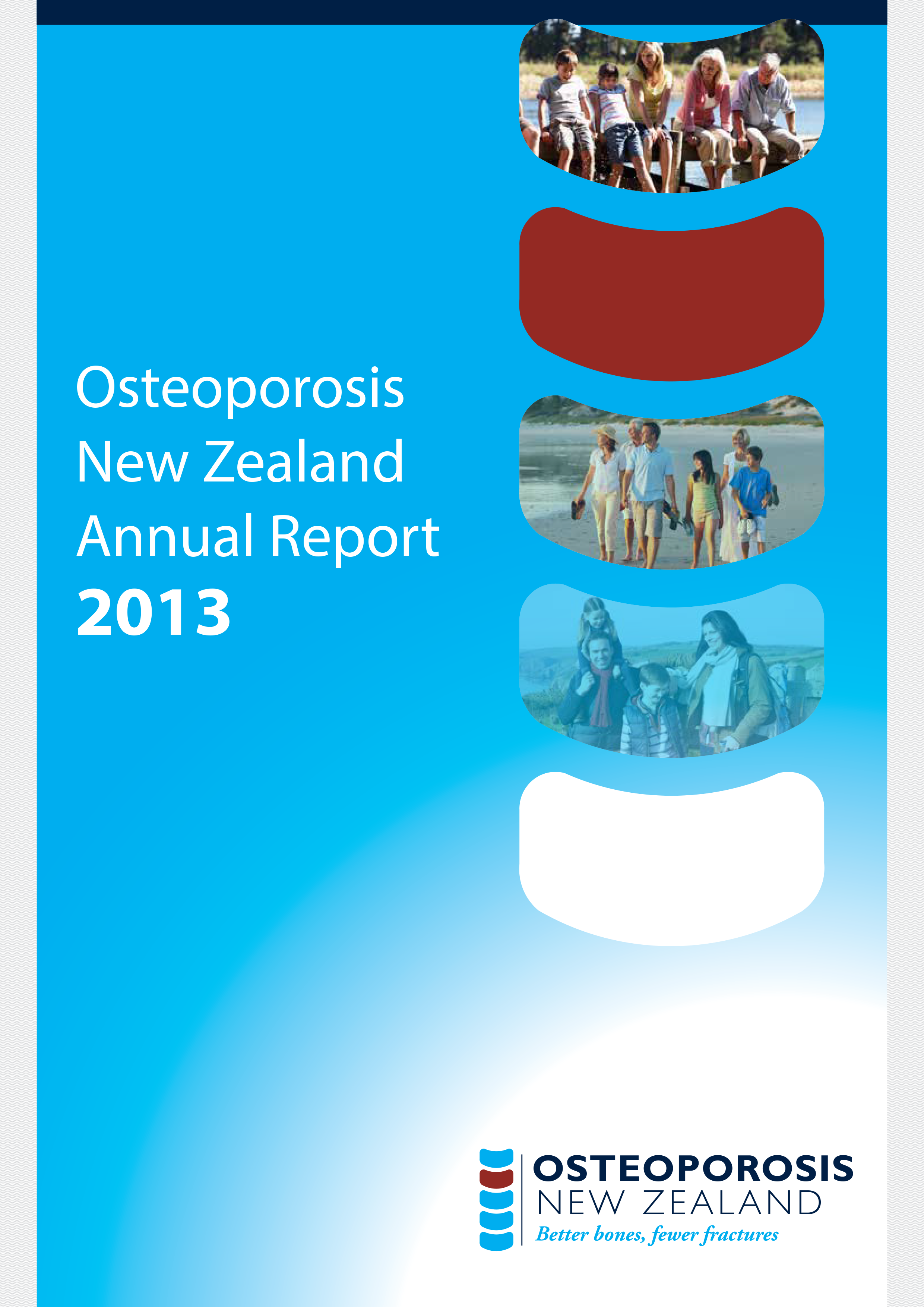 Osteo Annual Report 2013
